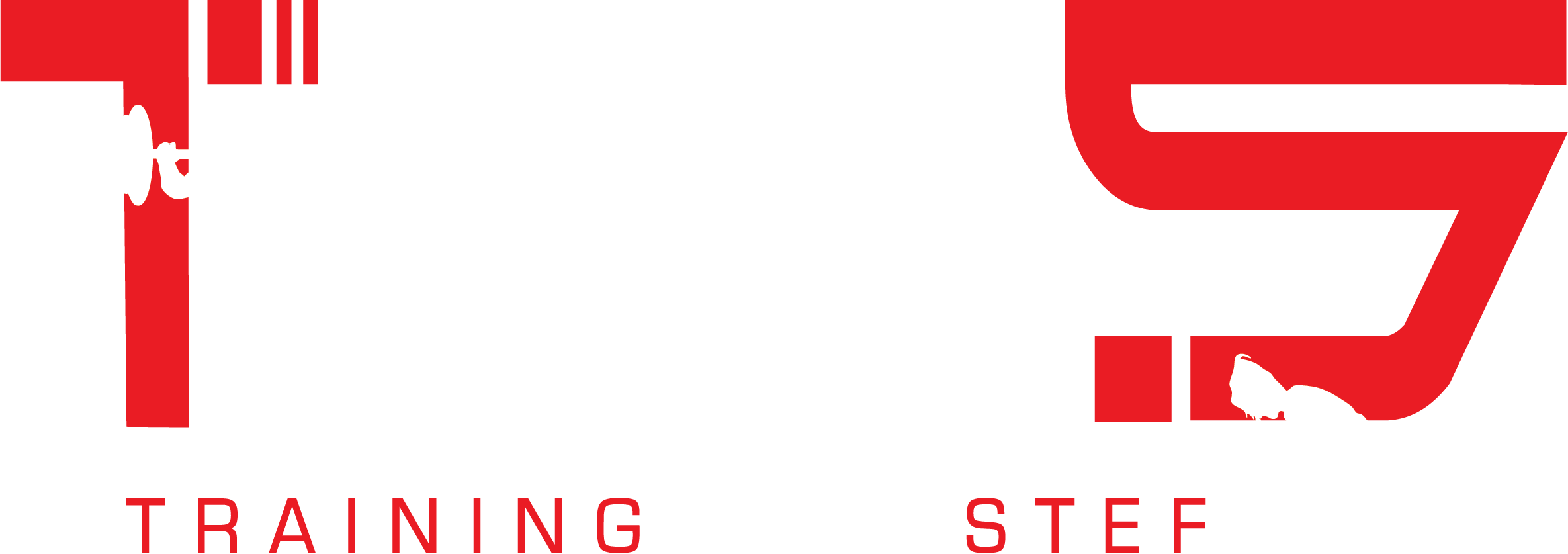 Trainingwithstef logo